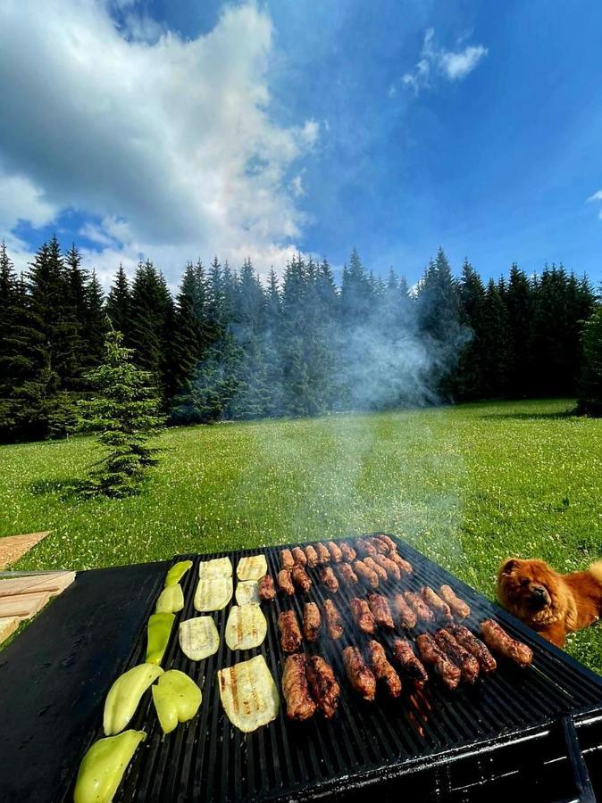 Vila Rajska Suma Žabljak Exteriér fotografie