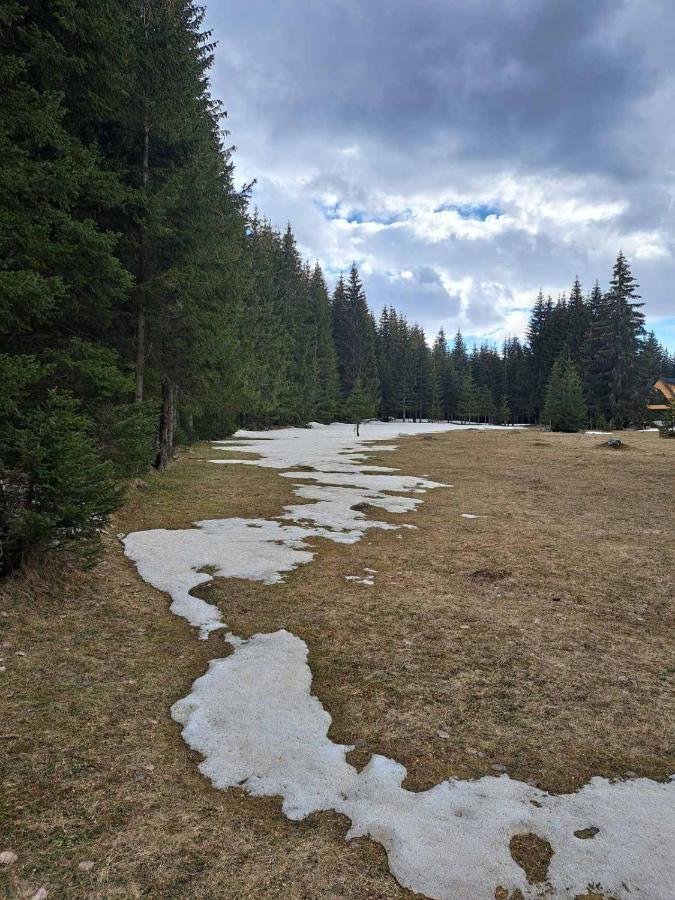 Vila Rajska Suma Žabljak Exteriér fotografie